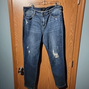 Judy Blue Women's Skinny Jeans - Distressed Blue